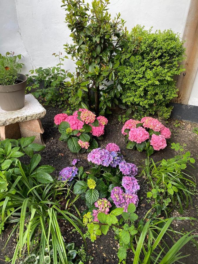 Appartement Vivier 4 Personnes Tout Confort Boulogne-sur-Mer Luaran gambar